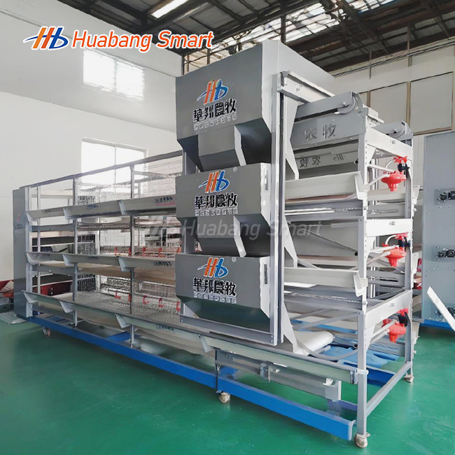Broiler Chicken Cages